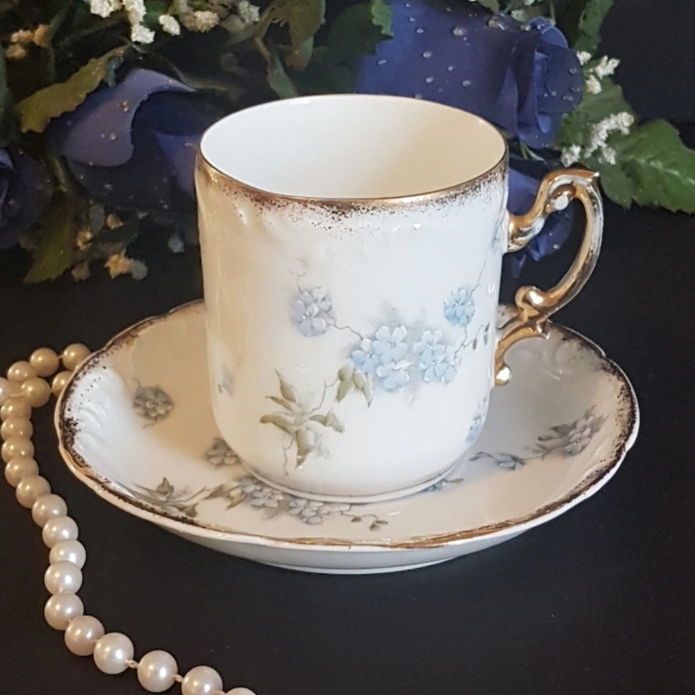 Rosenthal Teacup and Saucer: Hand-Painted Antique Porcelain Germany 1906